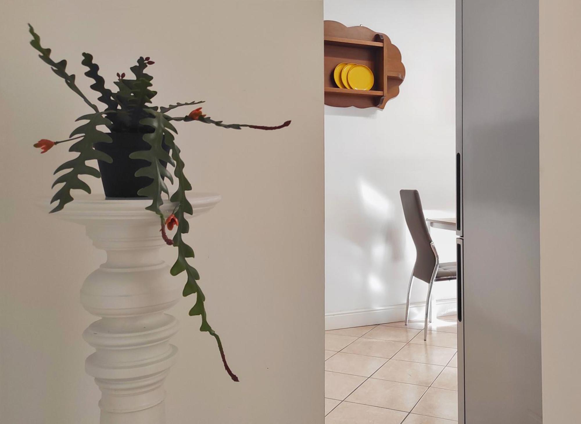 Conte Verde Apartments Turin Extérieur photo
